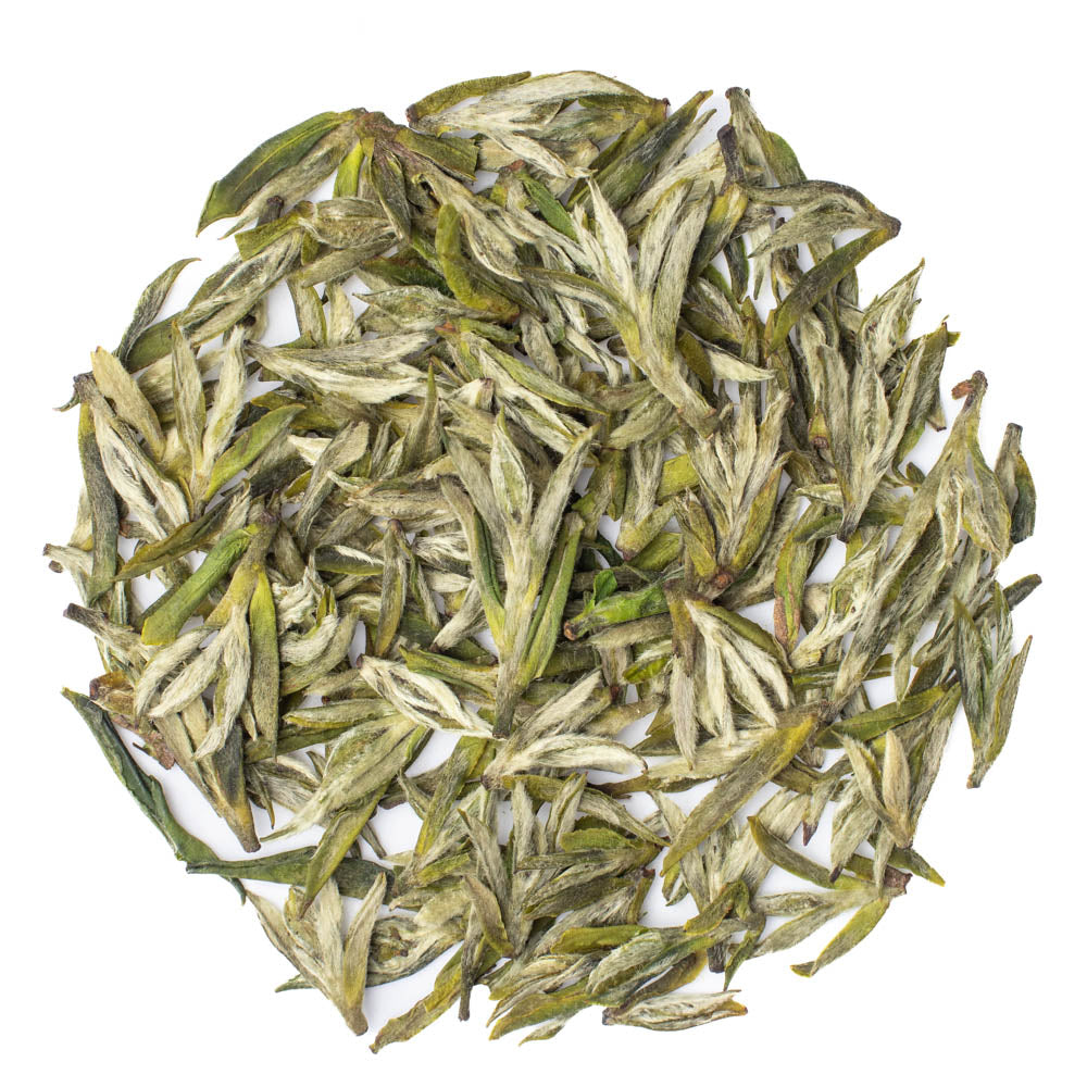 Early Spring Yu Hua “Rain Flowers”