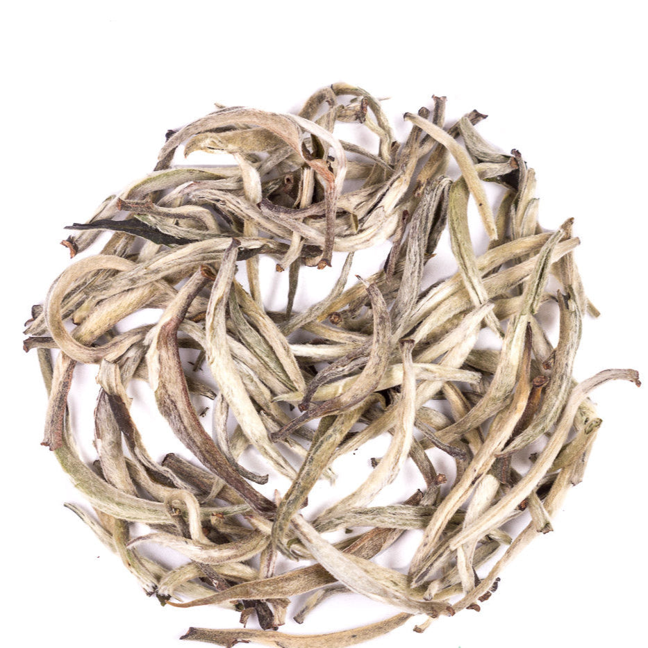 Yin Zhen "Silver Needles" Da Bai Cha