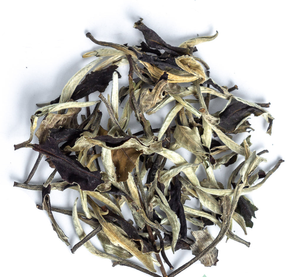 Yue Guang Bai