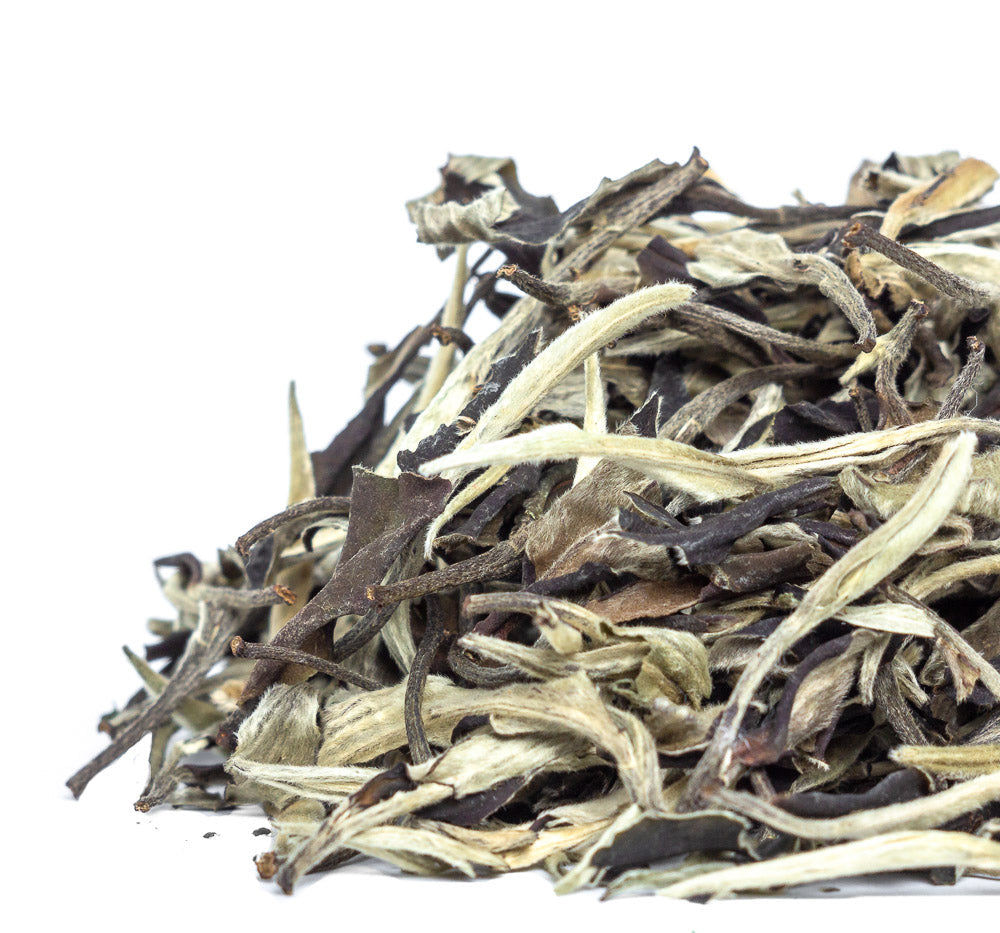 Yue Guang Bai